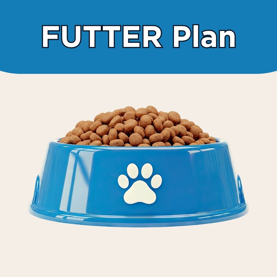 Kostenloser Futterplan